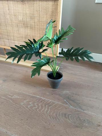 Kunst kamer plantje in pot beschikbaar voor biedingen