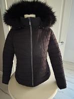Zwarte vrouwen winterjas L Guess, Kleding | Dames, Guess, Zwart, Maat 42/44 (L), Ophalen of Verzenden
