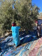 100% Biologische olijfolie, Ophalen