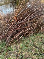 Wilgentenen geschild los. Diverse maten., Ophalen, Zo goed als nieuw, 180 tot 250 cm, Planken