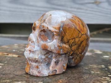 Schedel van Indonesische agaat  beschikbaar voor biedingen