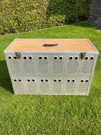 Duivenmand aluminium, Dieren en Toebehoren, Mannelijk, Postduif