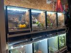 Terrariumstraat., Dieren en Toebehoren, Reptielen en Amfibieën | Toebehoren, Ophalen of Verzenden, Zo goed als nieuw, Terrarium of Paludarium