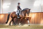 Te koop 9 jarige merrie!, Dieren en Toebehoren, Paarden, Merrie, Springpaard, B, Gechipt
