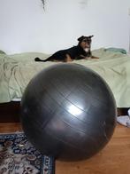 oefenbal / zitbal / yogabal 65 cm, Sport en Fitness, Fitnessmaterialen, Ophalen, Zo goed als nieuw, Fitnessbal