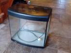 Superfish aquarium 65 L met ronde voorruit, Ophalen, Leeg aquarium