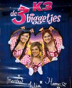 K3 de 3 biggetjes musical poster, Ophalen of Verzenden, Rechthoekig Staand