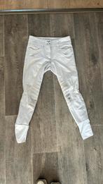witte rijbroek animo, Dieren en Toebehoren, Paardrijkleding, Gebruikt, Dressuur, Dames, Onderkleding