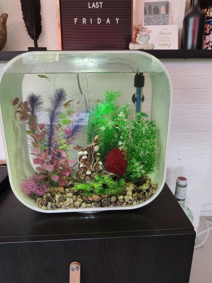 Biorb aquarium 30 liter incl. Toebehoren (pomp, verwarming), Dieren en Toebehoren, Vissen | Aquaria en Toebehoren, Leeg aquarium