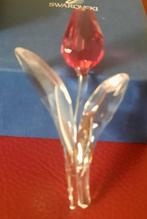Swarovski roze tulp, Verzamelen, Swarovski, Ophalen of Verzenden, Nieuw, Figuurtje