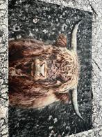 Bizon van glas, Verzamelen, Ophalen of Verzenden, 1980 tot heden