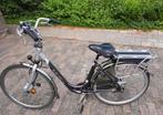 Twee elekrische fietsen en één damesfiets en hondenkar, Fietsen en Brommers, Elektrische fietsen, Ophalen of Verzenden, Gebruikt