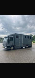 IVECO PAARDENAUTO . Nieuwe APK. TOP CONDITIE!!!, Auto's, Iveco, Bedrijf, Te koop, Euro 3