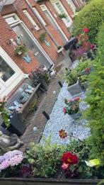 Gratis klinkers en 30bij30 tegels, Tuin en Terras, Ophalen, Gebruikt, Klinkers, 10 m² of meer