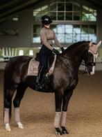 Nieuw! Zadeldek champagne equestrian stockholm fd, Ophalen of Verzenden, Nieuw, Dekje