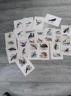 Mooie prenten+boek, Ophalen of Verzenden, Voor 1940, Overige onderwerpen