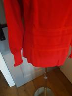 Rood steps truitje maat xl, Kleding | Dames, Overige Dameskleding, Ophalen of Verzenden, Zo goed als nieuw