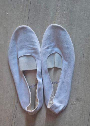 Euritmie schoenen  maat 38 valt als 36.  beschikbaar voor biedingen