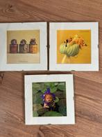 3 Glazen Lijstjes 20 X 20 cm ( kaarten zijn eruit te halen), Ophalen of Verzenden, Zo goed als nieuw