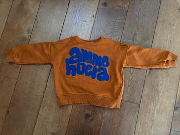 Sweater Ammehoela maat 92/98 beschikbaar voor biedingen