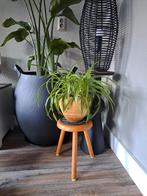 Vintage/retro melkkrukje, Huis en Inrichting, Krukjes, Ophalen of Verzenden, Zo goed als nieuw, Hout