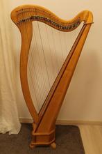 Te huur: harp 36 snaren, Muziek en Instrumenten, Snaarinstrumenten | Harpen, Ophalen