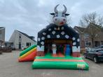 Huur: multiplay springkussen met glijbaan koe, Ophalen of Verzenden, Overige