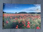 Tuinposter klaprozen 90 x 60cm - Nieuw, Ophalen of Verzenden, Nieuw