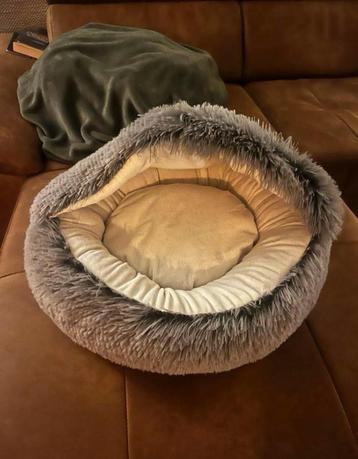 Fluffy katten / kitten mand beschikbaar voor biedingen
