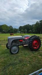 ferguson ted, Zakelijke goederen, Ophalen, Oldtimer, Tot 80 Pk, Massey Ferguson