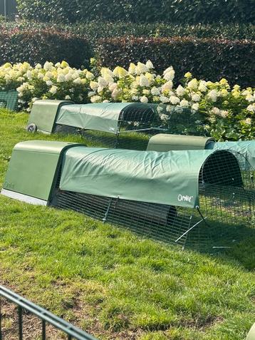 Omlet eglu go met gratis 2 meter ren beschikbaar voor biedingen