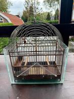 Surinaamse vogelkooi (2), Ophalen of Verzenden, Gebruikt, Hout, Vogelkooi