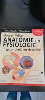 Anatomie en Fysiologie - Ross en Wilson, Boeken, Studieboeken en Cursussen, Anne Waugh, Allison Grant, Zo goed als nieuw, Beta
