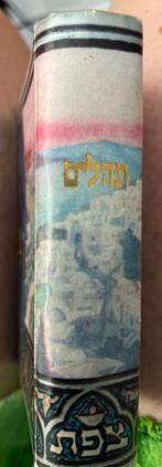Boek der psalmen in hebreews, Ophalen of Verzenden, Gebruikt, Boek, Jodendom