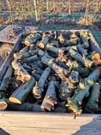 Fruit bomen (brand) hout, Tuin en Terras, Haardhout, Minder dan 3 m³, Ophalen