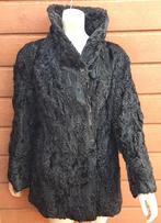 Korte ASTRAKAN Bontjas - Maat M/L - Zwart lam - CARACUL, Kleding | Dames, Jassen | Winter, Maat 38/40 (M), Pelterijen Den Haag