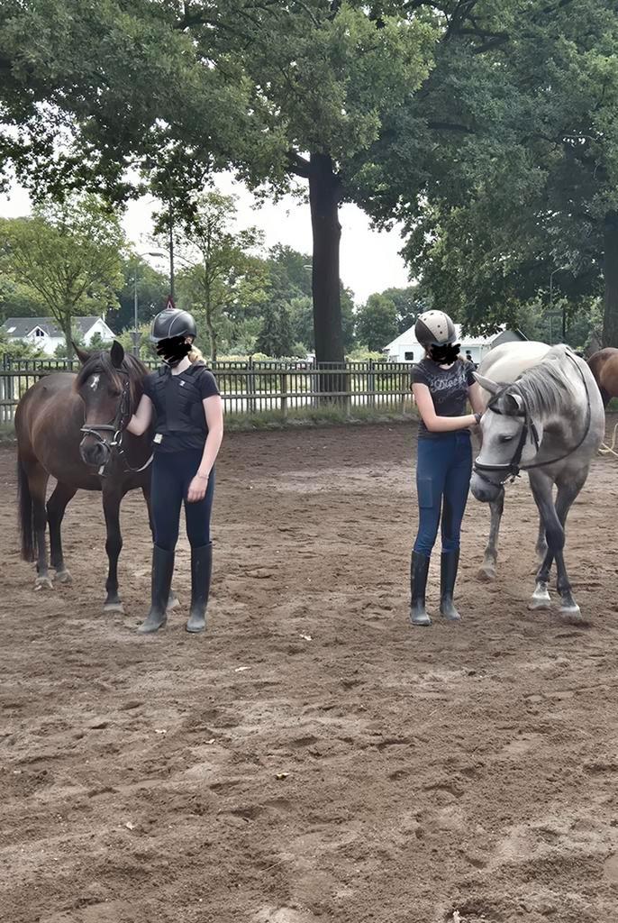 Bijrijders/leasers AANGEBODEN omgeving wageningen, Dieren en Toebehoren, Paarden en Pony's | Overige Paardenspullen, Nieuw, Overige soorten