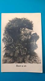 Poedel hond kaart uit 1942. Stempel Maassluis, Ophalen of Verzenden, 1940 tot 1960, Gelopen, Hond of Kat