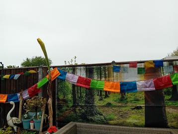 Vlaggen in verpakking tibetaanse nepalese boeddhist gebeds beschikbaar voor biedingen
