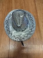 Hoed carnaval, Carnaval, ?, Ophalen of Verzenden, Zo goed als nieuw