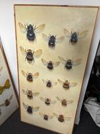 Hommels | Olieverf op doek | Kunstfabriek | 60x120, Ophalen