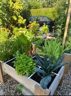 Houten Moestuinbakken - Verhuizing!, Tuin en Terras, Bloembakken en Plantenbakken, Ophalen, Gebruikt, 100 cm of meer, Tuin