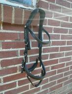 Presteq Faysport Hoofdstel Cob zwart, Dieren en Toebehoren, Paarden en Pony's | Hoofdstellen en Tuigage, Ophalen of Verzenden