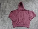 Hoody van Raizzed / maat S / in meer dan perfecte staat, Kleding | Dames, Truien en Vesten, Raizzed, Ophalen of Verzenden, Zo goed als nieuw