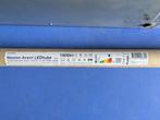 Noxion Avant LEDtube T8 Standard (EM/Direct), Ophalen, Nieuw