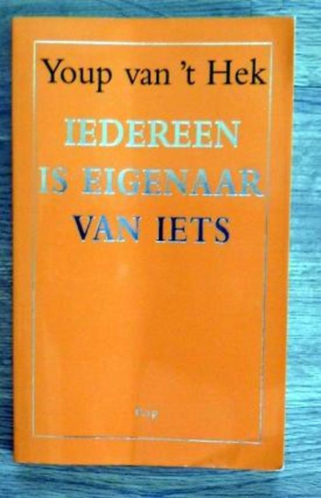 Youp van 't Hek - Iedereen is eigenaar van iets, Boeken, Literatuur, Zo goed als nieuw, Nederland, Ophalen of Verzenden