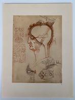 Leonardo da Vinci litho 21x28 cm (1959), Antiek en Kunst, Kunst | Litho's en Zeefdrukken, Verzenden