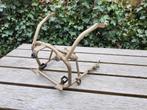 Ducati 750 SS 2001 frame voor, Ophalen of Verzenden, Gebruikt
