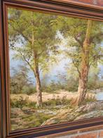 Schilderij Cafieri irene  bos en water groot in eiken lijst, Ophalen of Verzenden