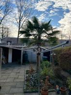 Brabantia Droogmolen - Handig voor de was!, Tuin en Terras, Ophalen, Zo goed als nieuw, Droogmolen